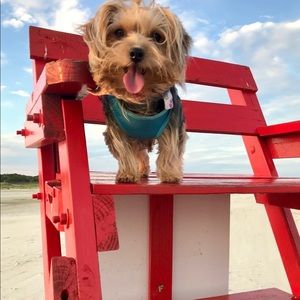 Meet your Posher, Melanie